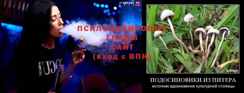 Псилоцибиновые грибы Magic Shrooms  Краснознаменск 